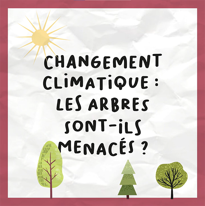 Changement climatique : les arbres sont-ils menacés ?