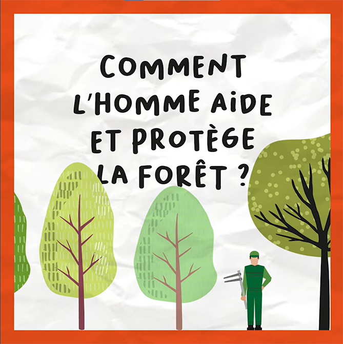Comment l’homme aide et protège la forêt ?