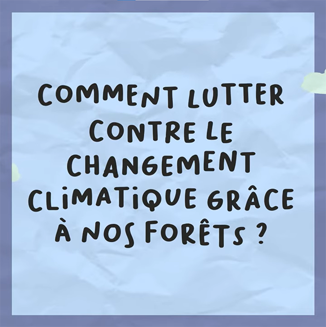 Comment lutter contre le réchauffement climatique grâce à nos forêts ?