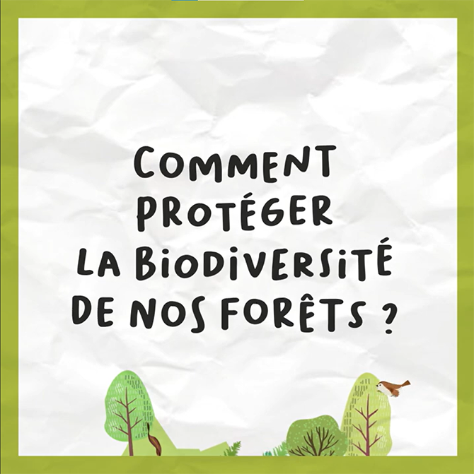 Comment protéger la biodiversité de nos forêts ?