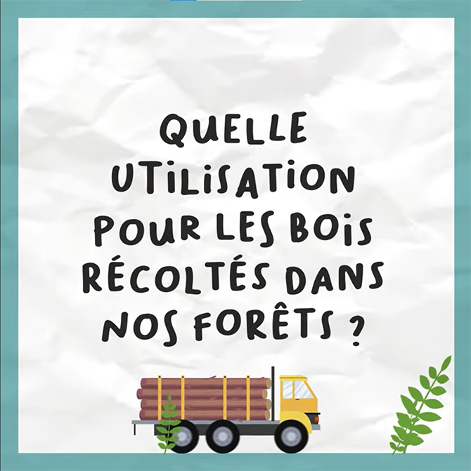 Quelle utilisation pour les bois récoltés dans nos forêts ?
